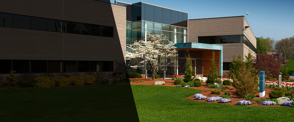 Strafford Landscapers