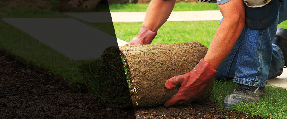 Strafford Landscapers